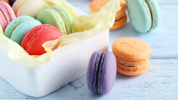 French Macaroon - Image 3